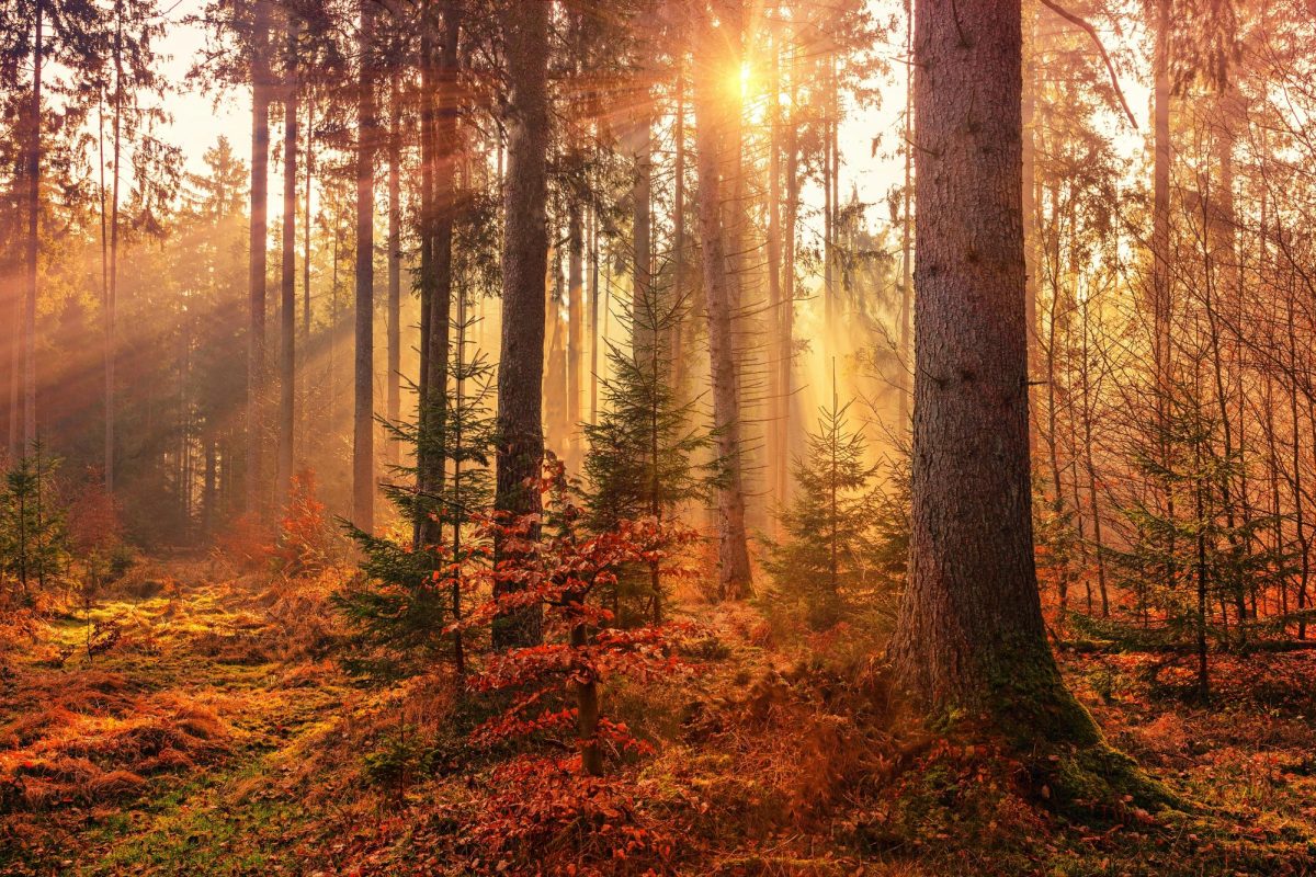 Autumn the Best Season