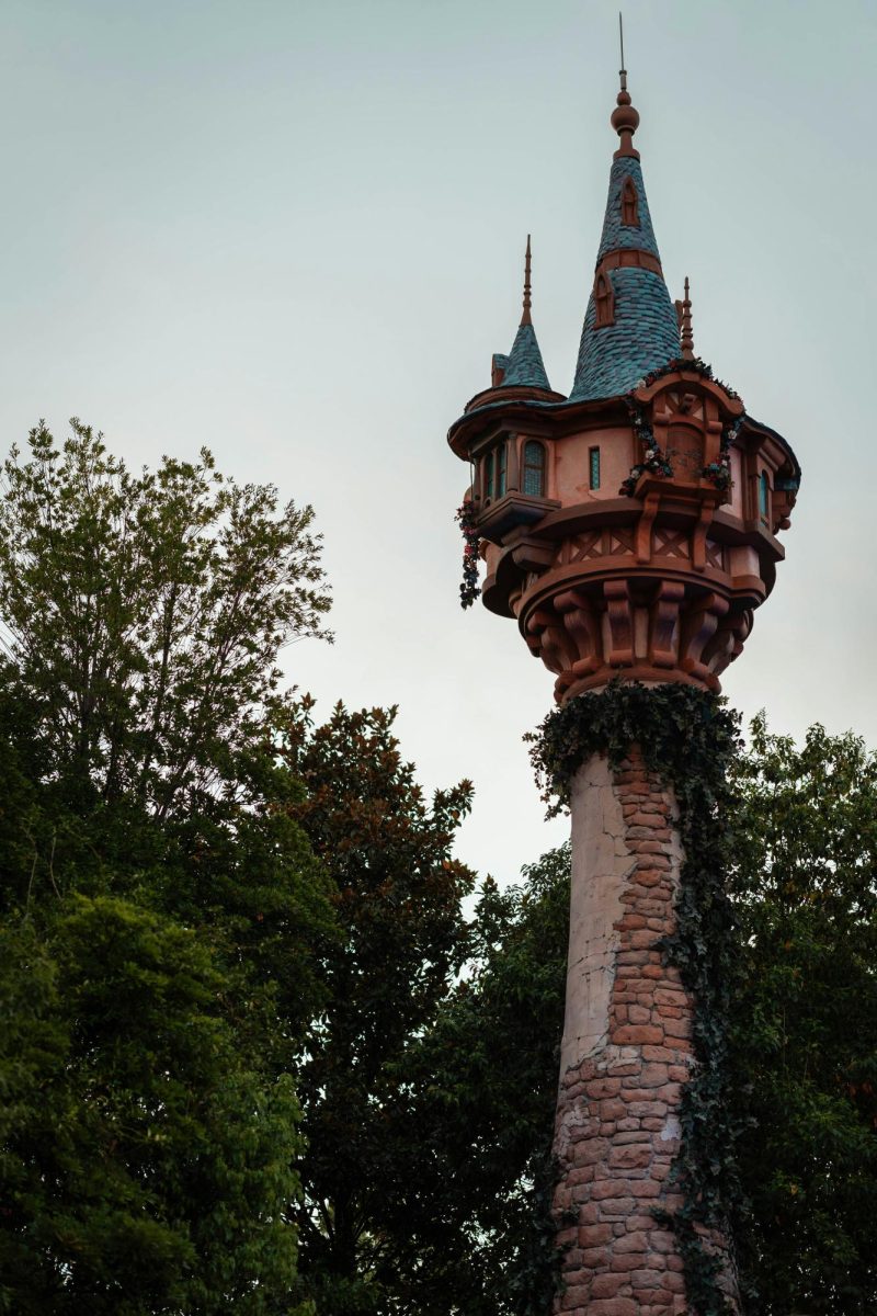 Rapunzel After Marriage